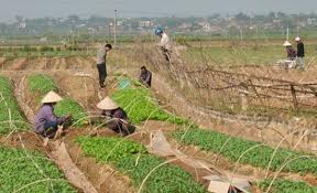 ពង្រីករូបសណ្ឋានសហករណ៏ក្នុងការកសាងជនបទថ្មី